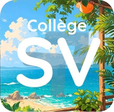 Logo Collège Simone Veil
